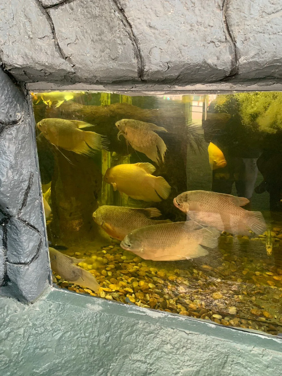 Детские приключения — изображение 8