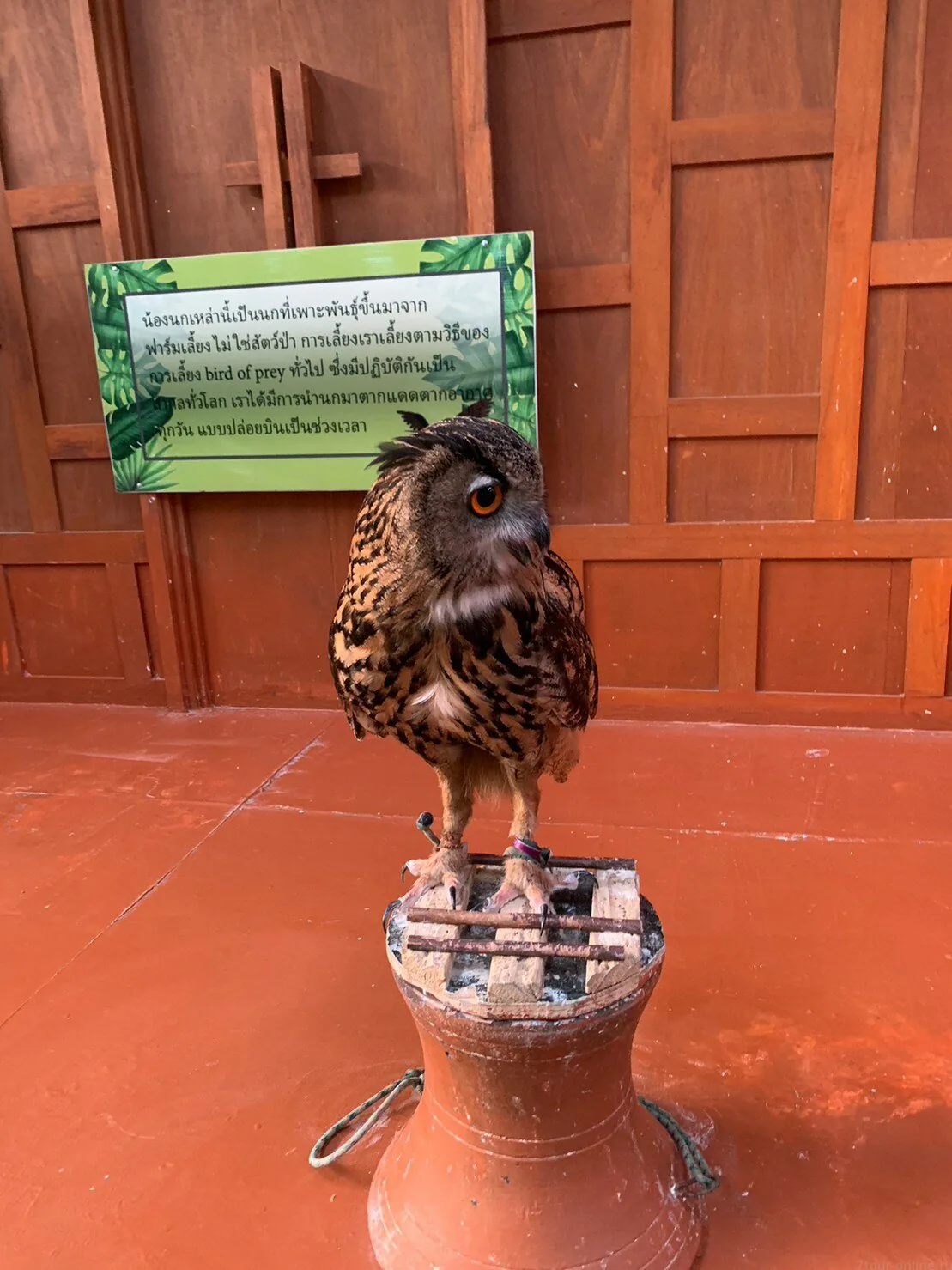 Детские приключения — изображение 9