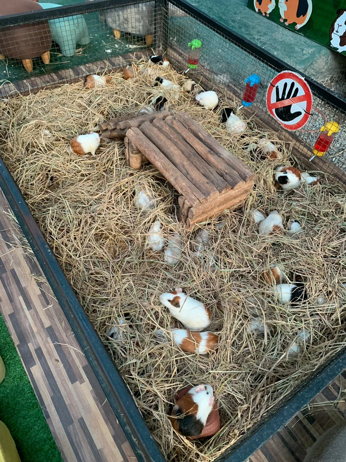 Детские приключения — изображение 10