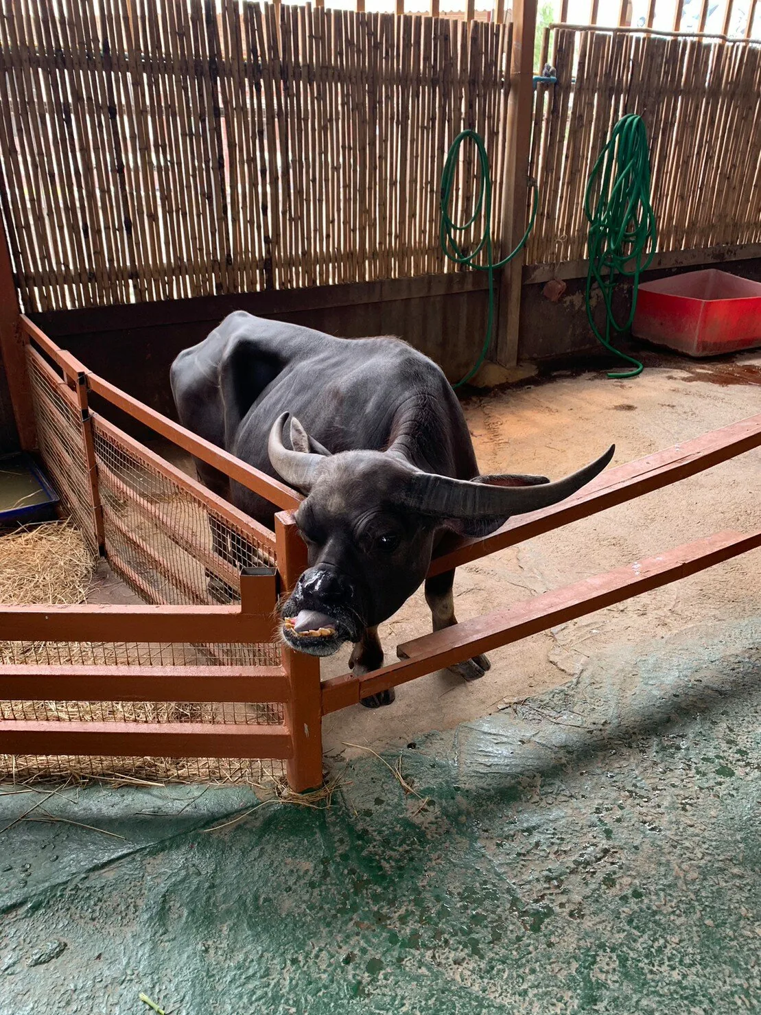 Детские приключения — изображение 11