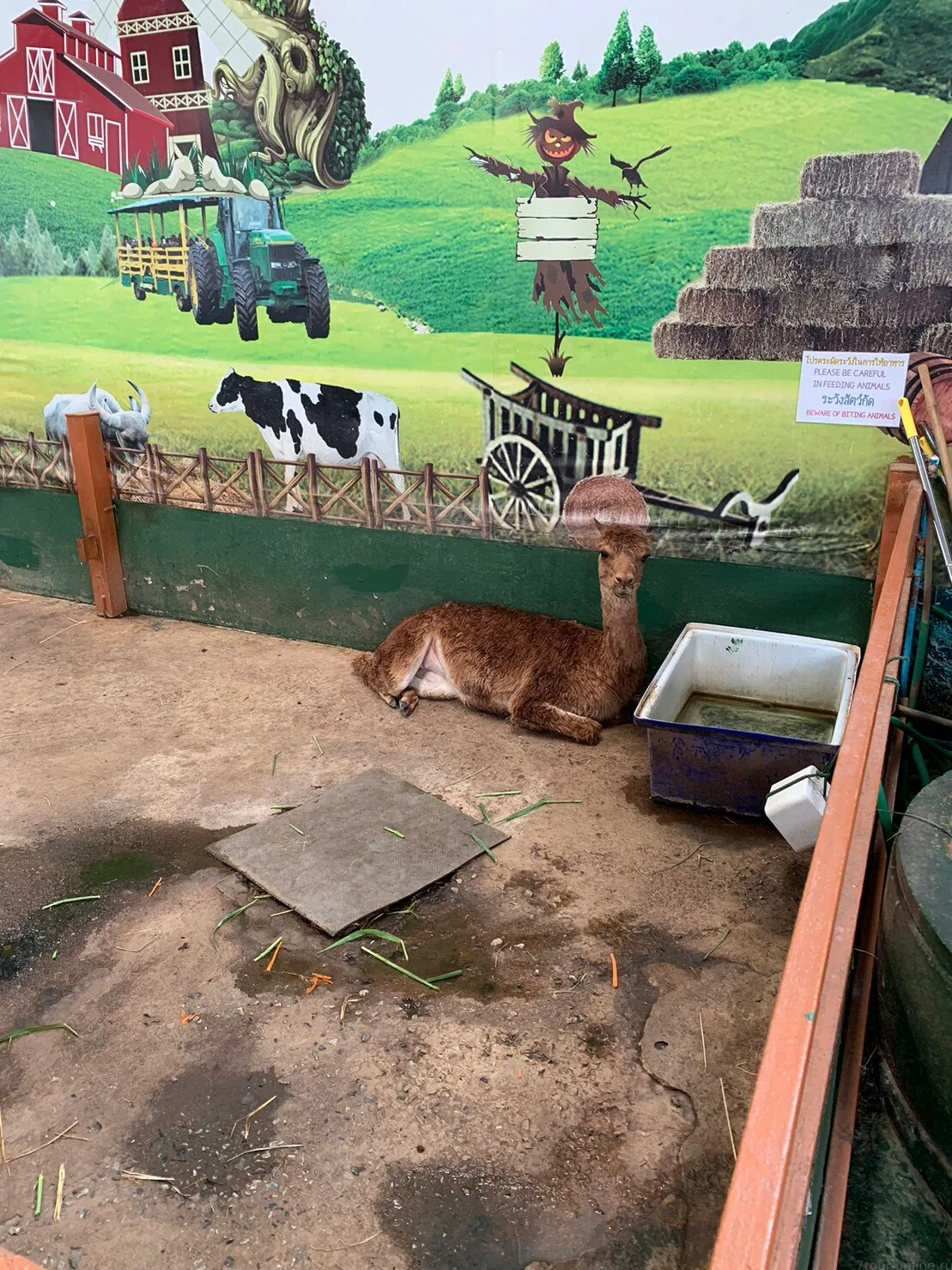 Детские приключения — изображение 13