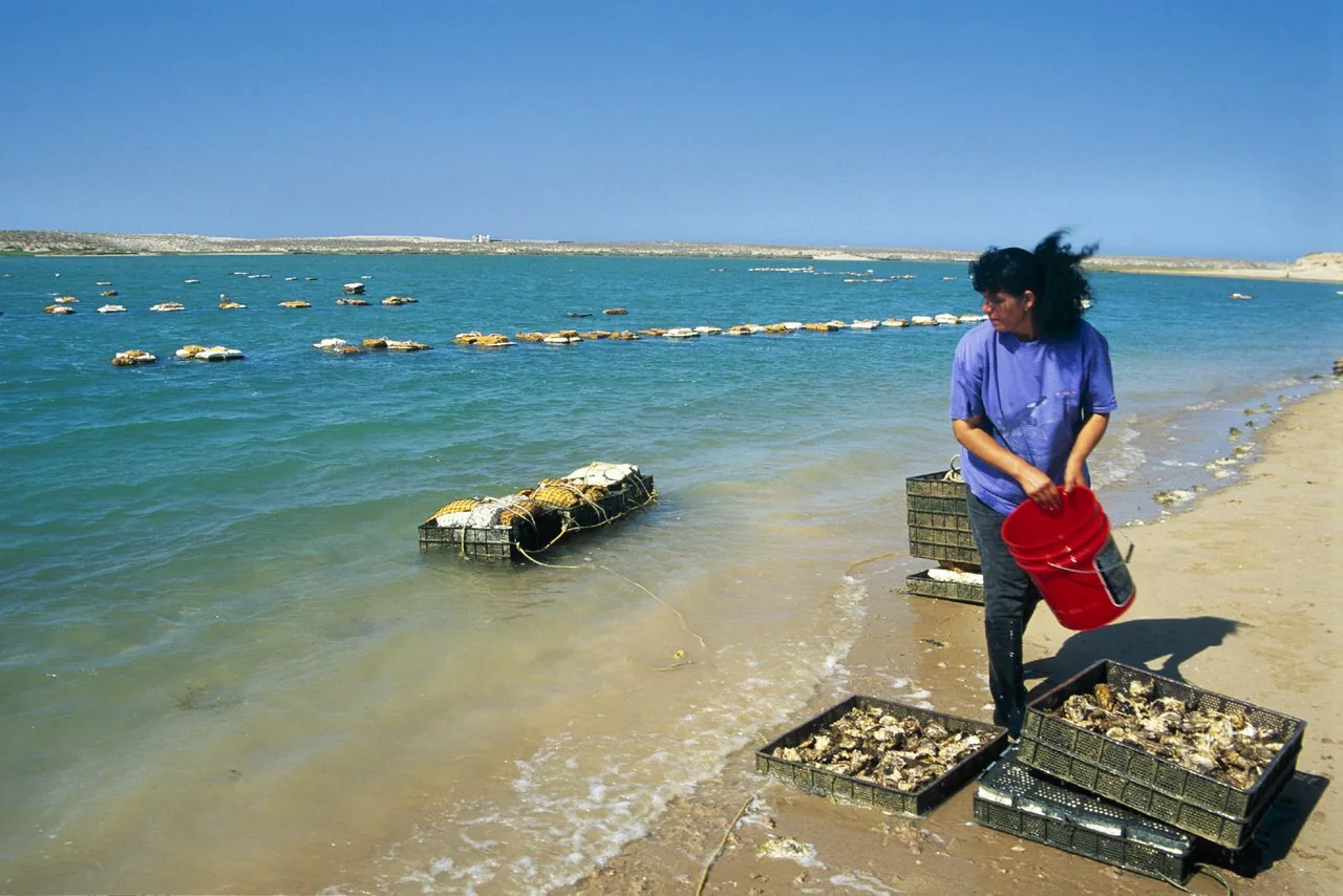 Дискавери Тур “8 в 1” - Kép 19