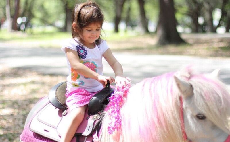 Детские приключения