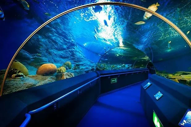 Underwater World Pattaya - «Океанариум»