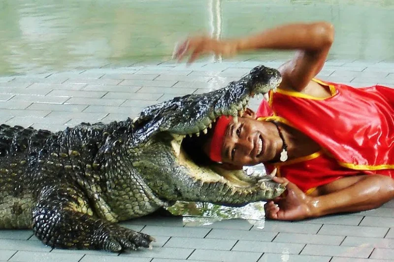 Крокодиловая ферма и Парк Миллионолетних Камней