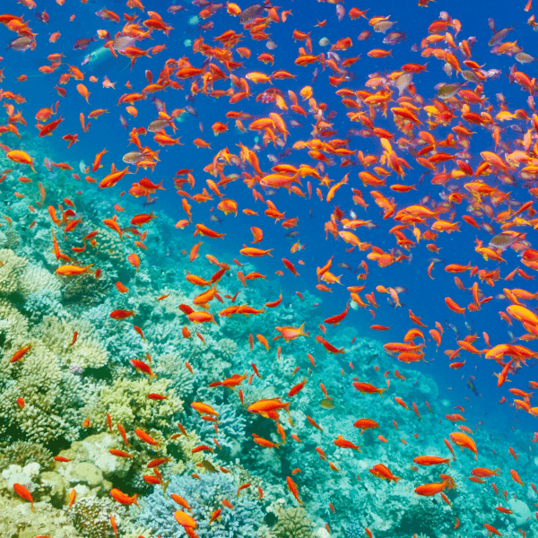 Hurghada