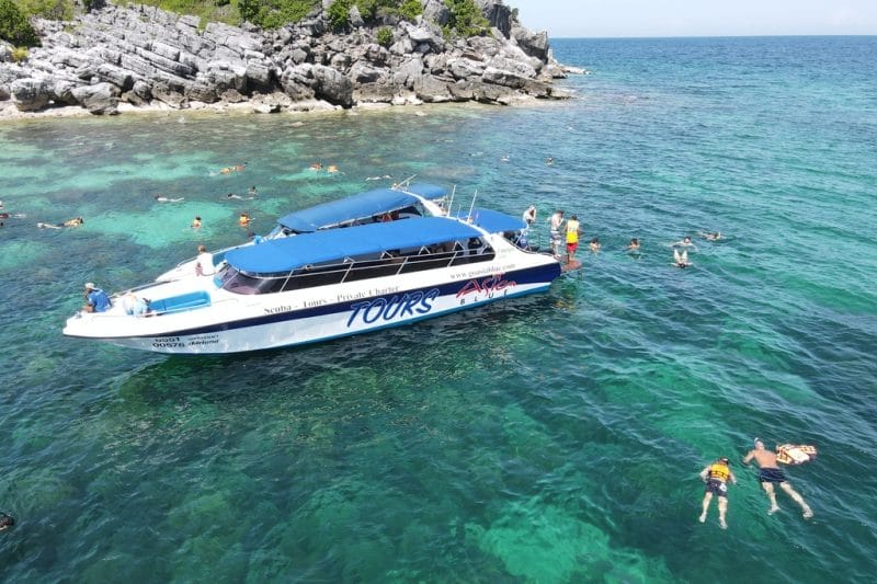 На быстроходной яхте LISA к островам Пиг / Тан / Раб / Ангтонг / Пханган / Tao / Нанг Юань и дельфинам