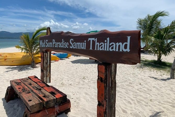 На быстроходной яхте LISA к островам Пиг / Тан / Раб / Ангтонг / Пханган / Tao / Нанг Юань и дельфинам — изображение 3