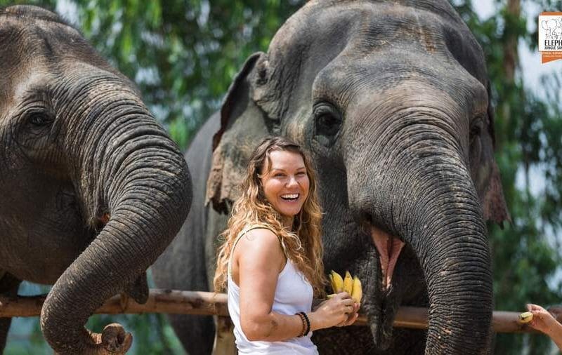 Центр заботы о слонах