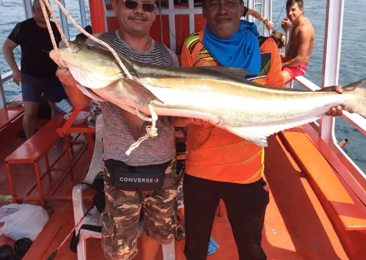 Морская Рыбалка на Хищника