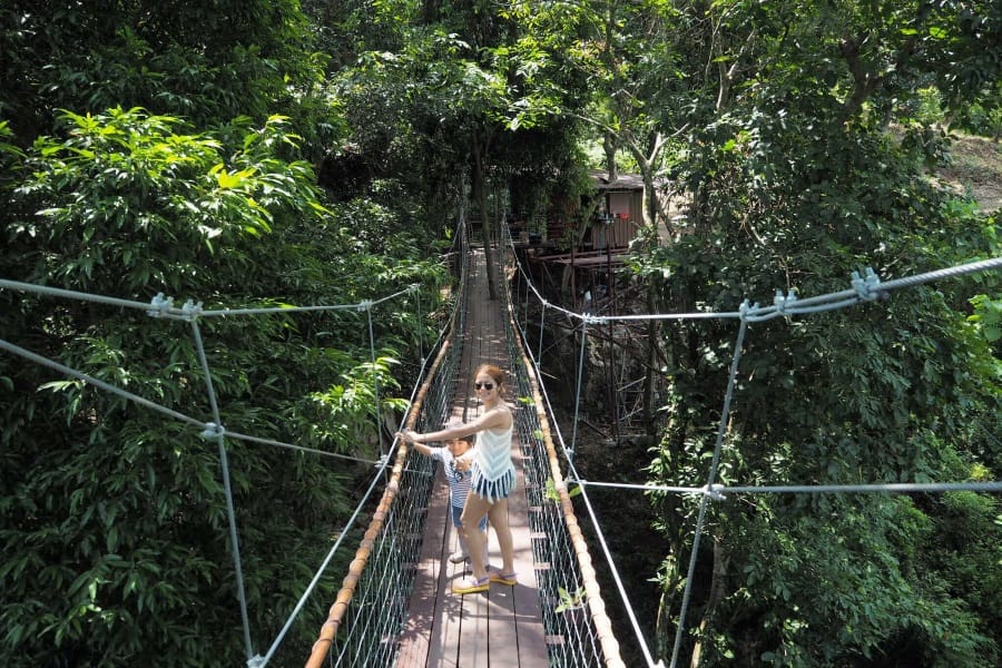 Tree Bridge Zipline на Самуи - Kép 7