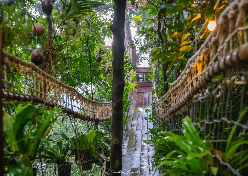 Tree Bridge Zipline на Самуи - Kép 3