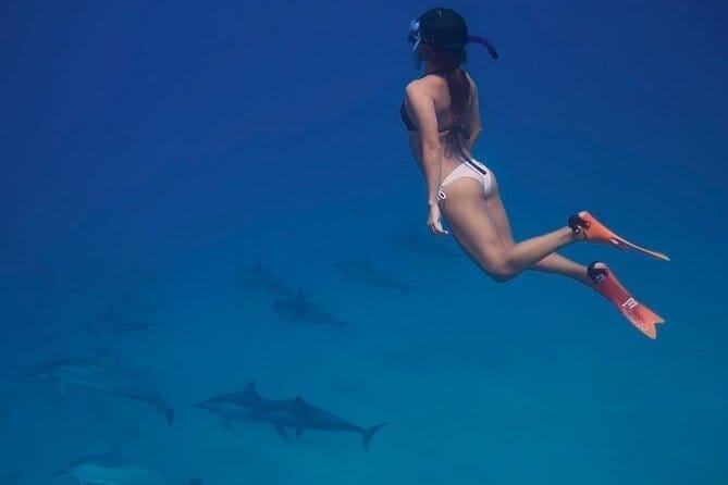 Дельфин тур — изображение 2