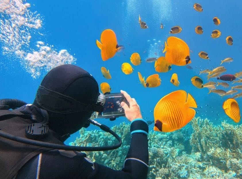 Остров Magawish с дайвингом