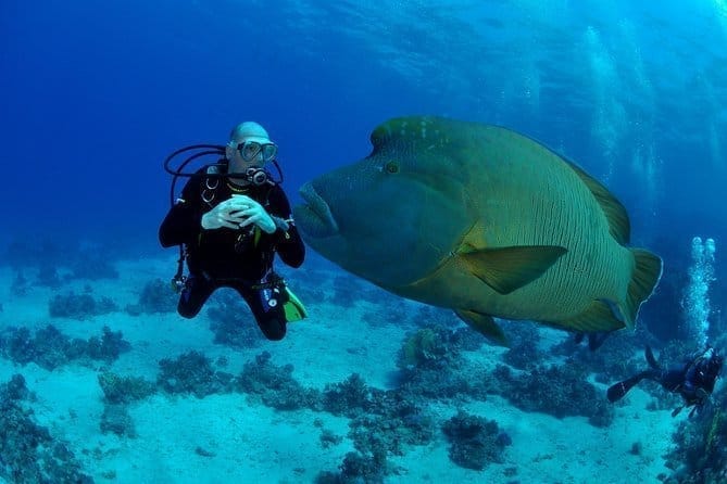 Дайвинг (2 погружения)