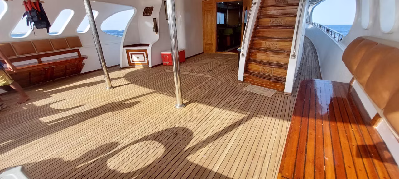 Яхта Royal Pool (до 25 человек) — изображение 2