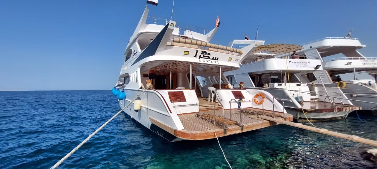 Яхта Royal Pool (до 25 человек) — изображение 15