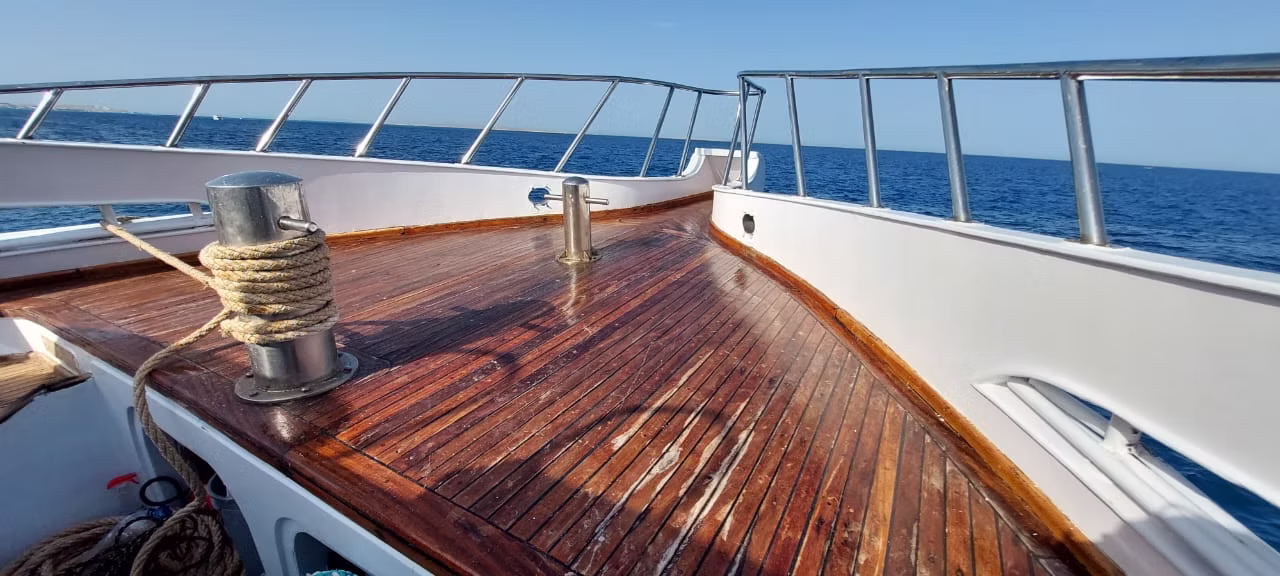 Яхта Royal Pool (до 25 человек) — изображение 22