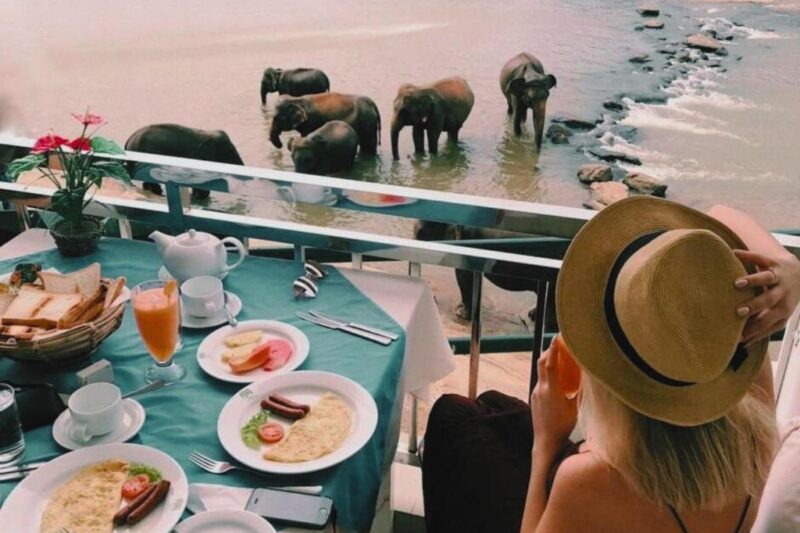 Ланкийский экспресс + завтрак со слонами и Сигирия (2 дня)