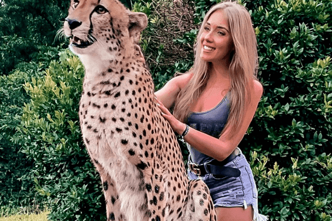 Зоопарк Cheetah’s Rock