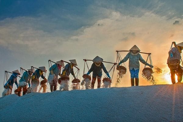 Фанранг с капибарами — изображение 7
