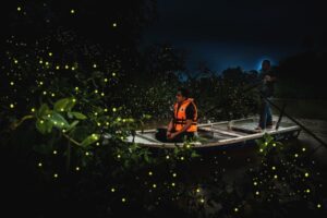 Река светлячков, обезьяны Лангуры и пещеры Бату