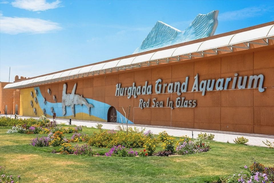 Гранд Аквариум - Image 2